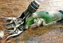 Heritage event support