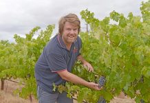 Fourth generation winemaker forges path in family business