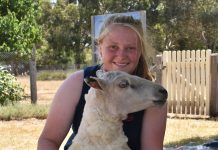 Mental health event unites