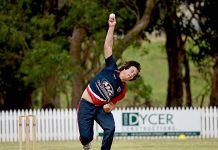 Exciting match expected for Big Bash Twenty20 Cup decider