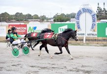 Buddy Boom Boom wins Glencoe Cup