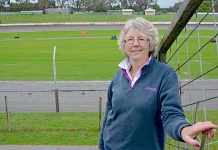 Red tape puts brakes on city Autofest event