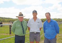 The 12th annual Woonallee bull sale at Furner