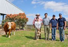 Elite line-up sold at Furner