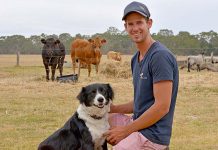 Ag Town of Year entries sought