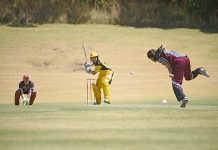 Tigers set Demons on fire