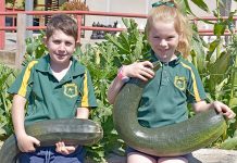 Veggie patch produces goods