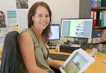 Seaside study to target Limestone Coast erosion