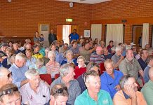 Millicent saleyards plea from community