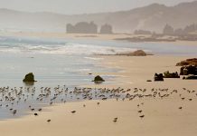 Wetland protection success celebrated