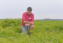 Timber supply pressure builds