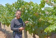 Regional producers urged to maintain premium reputation in face of low-grade export boom