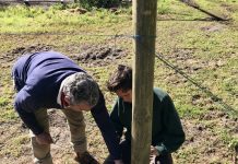 Students receive vineyard insights