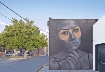 Cancelled Millicent art project leads international artist to Allendale East