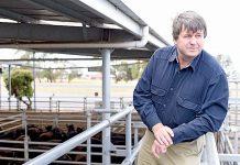 Upgraded system to be installed at livestock facility