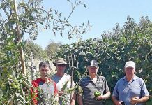 Town garden group grows