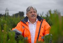 Forest sector research boost Dsc 9595 TBW Newsgroup