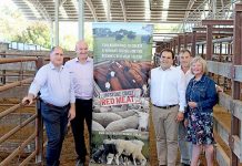 Government awards $15,000 to red meat strategy