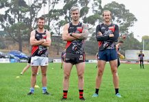 Bulldogs sink teeth into preseason