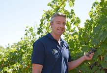 Coonawarra winemaker primed for quality vintage