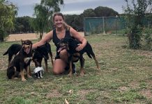 Survivor steps up to challenge