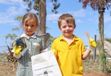 Students help clean up region