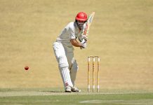 Tigers hunt down Barber Shield grand final spot