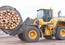 Council to explore regional wood for rec-centre design elements