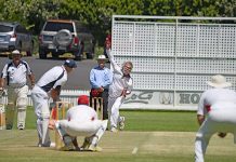 Veteran cricketers pad up for Border Cup honours