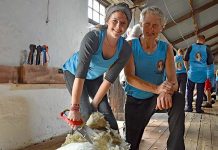 Shearers shine light on mental health