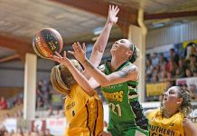 Pioneers women find key to success over hungry Tigers