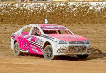 Solid race Beares fruit