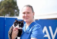 Cruel animal dumping disgust