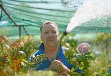 Heat stress for primary producers