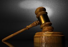 ‘Reckless’ export risks industry