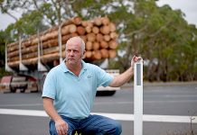 Federal Government urged not to bypass regional road priorities