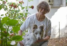 Fatal fox bait change campaign Dogs 7112 TBW Newsgroup