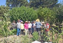 Special treat for garden club