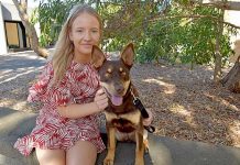 Pet owners reminded to register furry friends