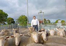 South East farmers support to help fill critical job positions