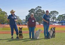 Dog trial goes down a treat Barb Lightburn, Darcy, Bec Jones, Malika, Helen Cottier, Doug, Ace TBW Newsgroup