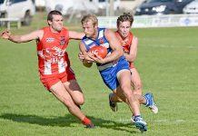 Cats hope to dig claws into WBFL season early against Demons Brett Oniel, Hamish Jarrad, Kaleb Bowd Crop Dsc 618920180505 TBW Newsgroup