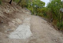 Damaged pipe causes walking trail sewage leak Cement Path Lakes TBW Newsgroup