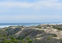Land portions set for Canunda rezone Geltwood Beach TBW Newsgroup