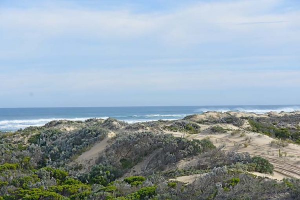 Geltwood Beach   TBW Newsgroup