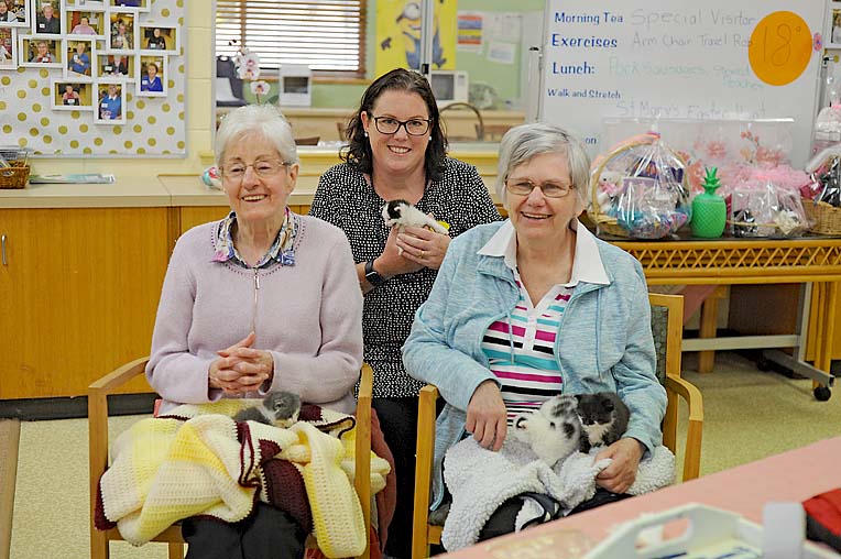 Wet Noses’ furry friends bring joy to aged care facility residents