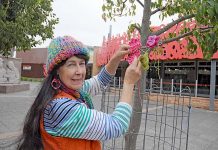 Yarn bombers bring burst of colour to city Julianne TBW Newsgroup