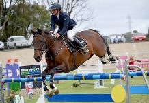 Showjump riders leap at chance to contest festival Kristy Bruhn, Jack Dsc 8696 TBW Newsgroup