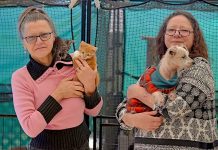 Animal rescue support as volunteers ‘fill gap’ Maxine And Marie (2) TBW Newsgroup