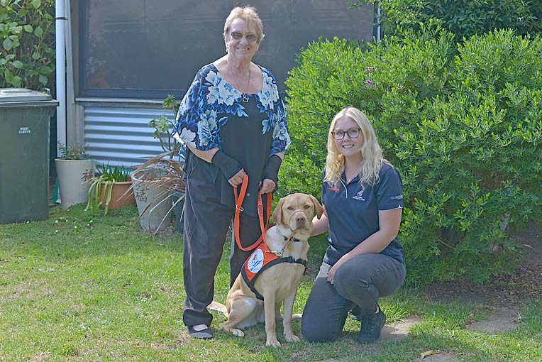 Rescue dog at home helping new Mount Gambier owner